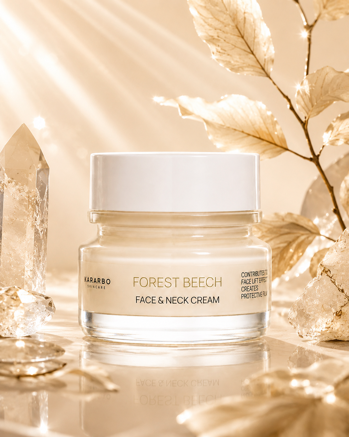 Forest Beech Cream